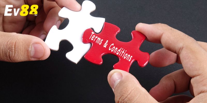 Điều Khoản EV88 – Những Quy Định Cần Biết Cho Người Mới 1 Giới Thiệu Về Điều Khoản Ev88